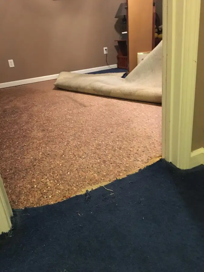 Carpet pad removal revealing water damage during Drying & Dehumidification in Pendleton