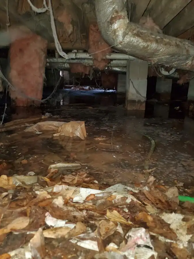 Crawl space flood assessment for Leak Detection & Repair in Pendleton